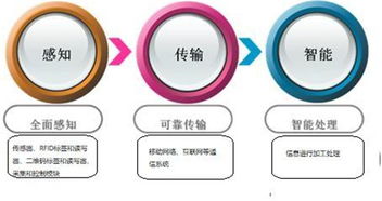 萬物智聯(lián)，未來已來 科技巨頭布局下的物聯(lián)網(wǎng)發(fā)展趨勢與通信系統(tǒng)集成挑戰(zhàn)