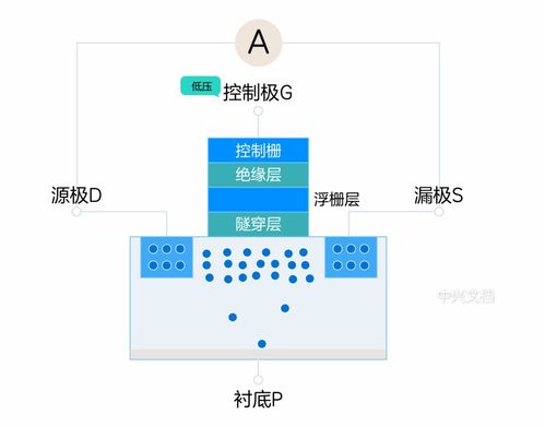 固態(tài)硬盤為何在數(shù)據(jù)處理與存儲服務(wù)中完勝機(jī)械硬盤？